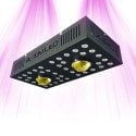 Lampe horticole LED pour la croissance et la floraison - SpectraPANEL X320 - 320W - CREE et OSRAM - 1