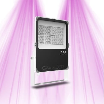 Lampe horticole LED 50W - GVL SPOT V4 - Eclairage pour plantes vertes et murs végétaux