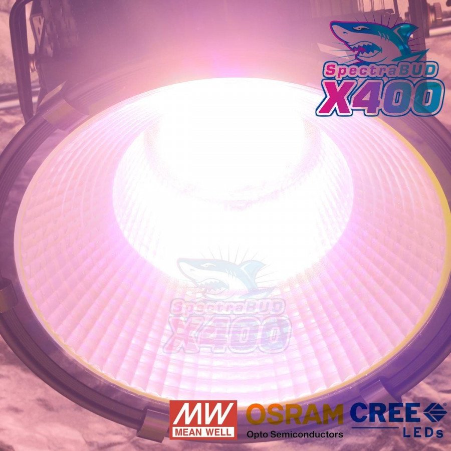 SpectraBUD X400 - Éclairage horticole LED pour serres et salles de culture Bloomled - 3