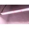 SpectraB.2.G X45 - Lampe horticole LED - 45W 60cm - 2