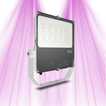 LED Spot V4 100W - Lamp for green plants and plant walls - IP66 - GreenVisuaLED - 1
