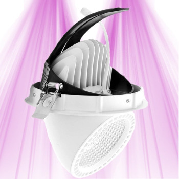 LED Spotlight 35W - Plant and green walls - LED CREE 360 ° GreenVisuaLED - 1