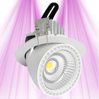 LED Spot Light 50W 360 ° - Lamp for green walls and vegetal design - LED CREE GreenVisuaLED - 1