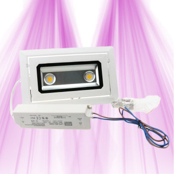 LED SpotLight 40W - LED lamp ideal for green walls - LEDs CREE GreenVisuaLED - 1