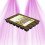 Cubes pour le bouturage EazyPlug - 24 Cubes
