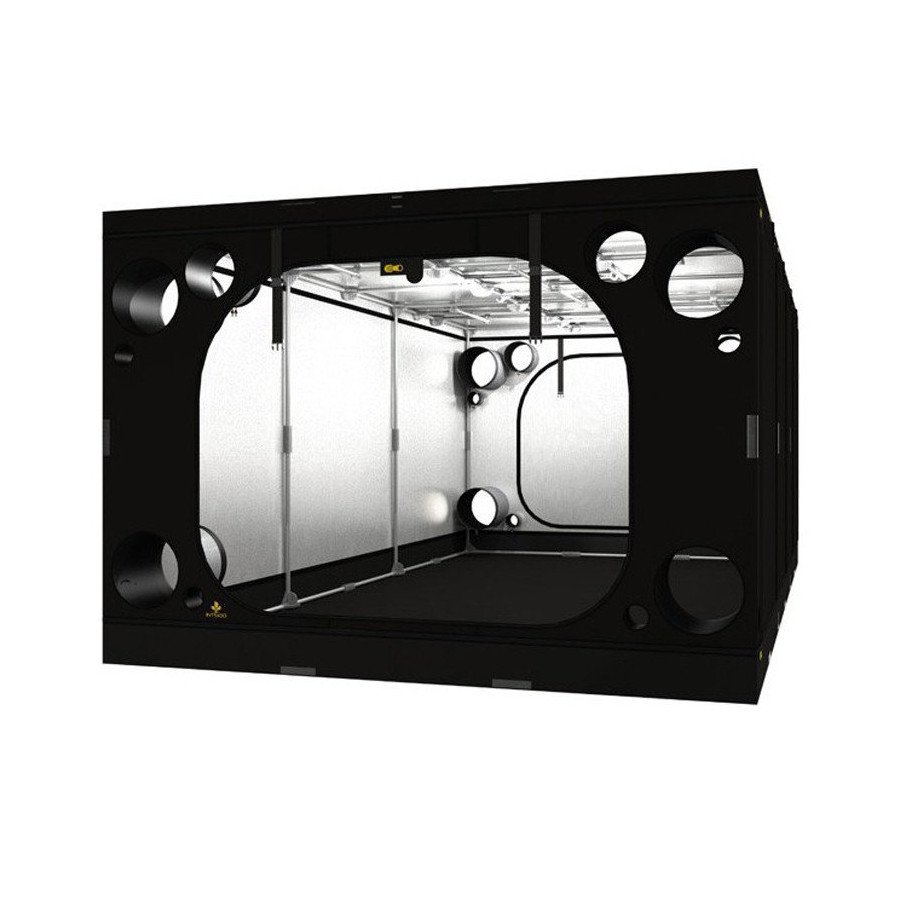 Chambre de culture ORCA Intense 2.5 - 600 x 300 x 215cm