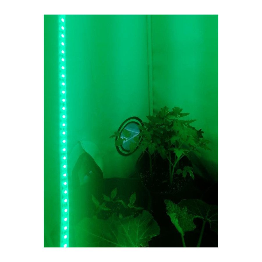 Eclairage nocturne pour vos plante - Ruban Led - 9W par mètre - 1m - 3