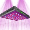 K5 XL750 WiFi Panneau LED Horticoles KindLed - 1