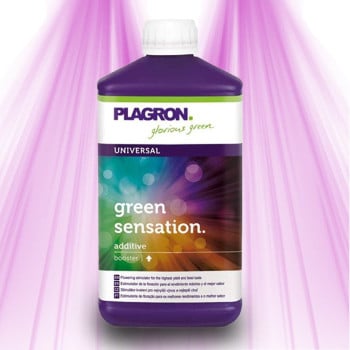 Plagron Green Sensation - 4-en-1 : Améliore la floraison, la résistance, le sol et le rendement