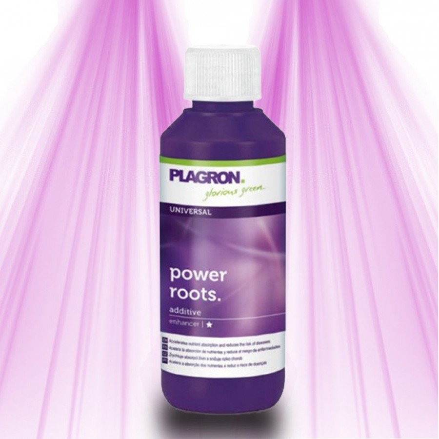Plagron Power Roots - Stimule la formation des racines et booste la résistance Plagron - 2