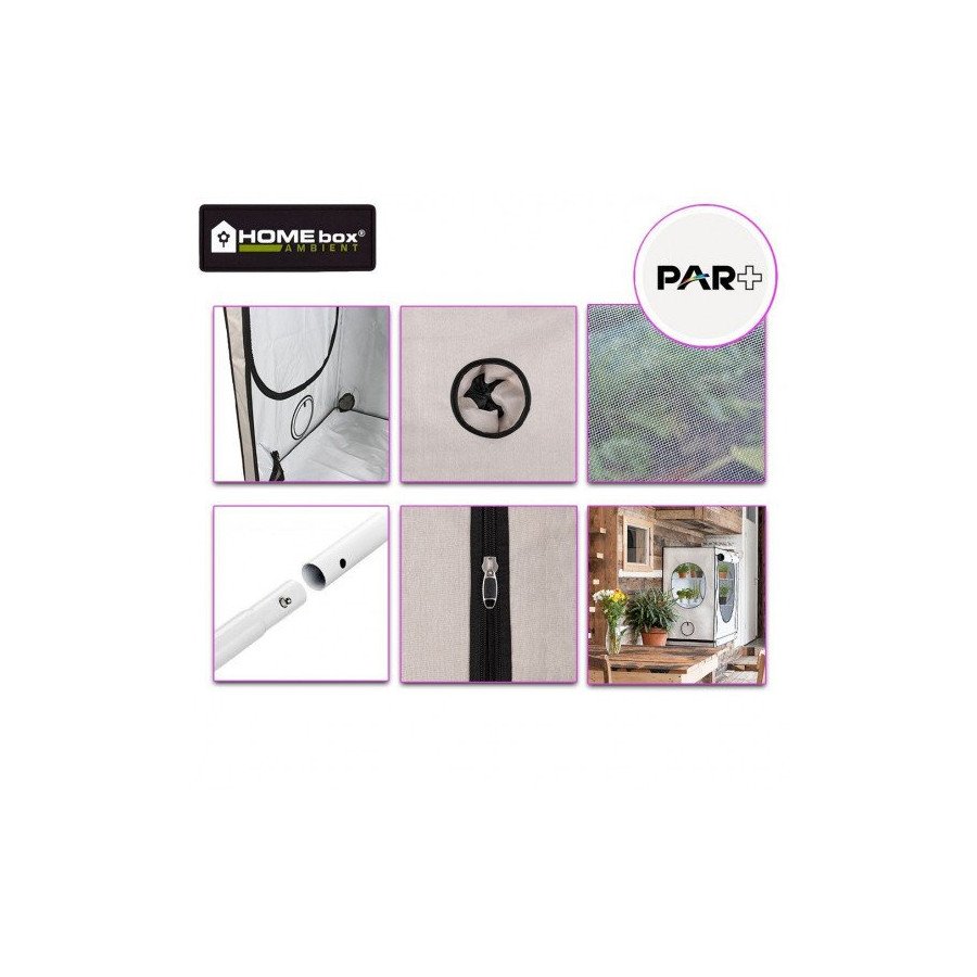 Chambre de culture Homebox Ambient AR 240+ - 240x120x220 cm HomeBox - 5