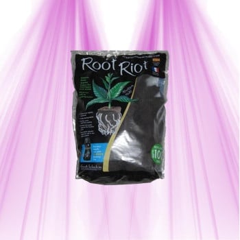 Root Riot - Sachet de cubes de germination et de bouturage - GROWTH TECHNOLOGY Growth Technology - 1