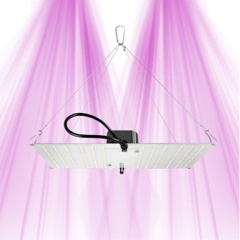 HLG 100 4000K - LED horticultural panel - Samsung LM301H LEDs - Comes with EU plug Horticulture Lighting Group - 1