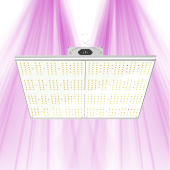 Quantum MAX 240W - Full Spectrum - Lampe horticole LED pour box de culture