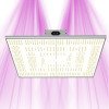 Quantum MAX 320W - Full Spectrum - Lampe horticole LED pour box de culture IndoorLed - 1