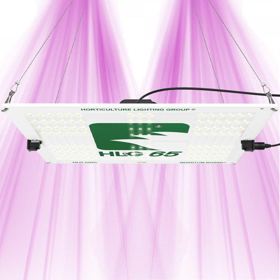 HLG 65 V2 - Lampe horticole LED - 4000K Horticulture Lighting Group - 2