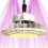 Éclairage Horticole LED - HPLED 200W - FULL SPECTRUM - Secret Jardin
