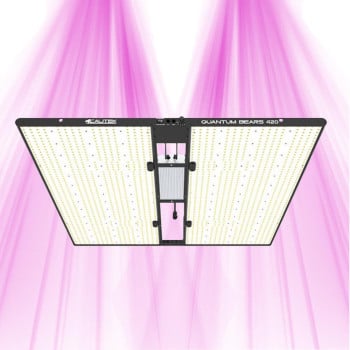 Quantum Bears 420W - Éclairage horticole LED puissant à spectre complet - Calitek