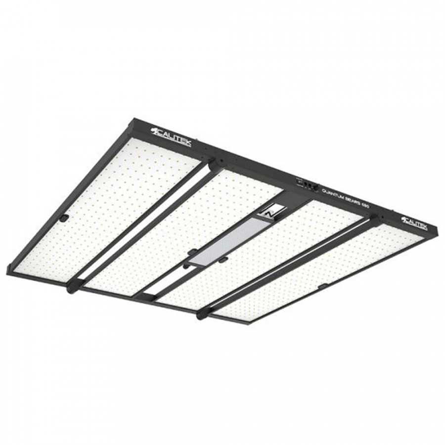 Quantum Bears 680W - Éclairage horticole LED puissant à spectre complet - Calitek