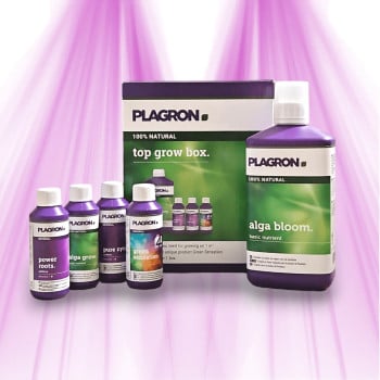 Plagron PACK Top Grow Box Natural - Parfait pour culture intérieur de 1m²