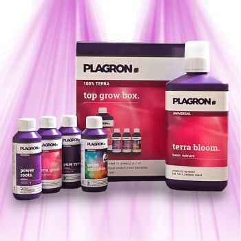 Plagron PACK Top Grow Box Terra - Parfait pour culture intérieur de 1m²