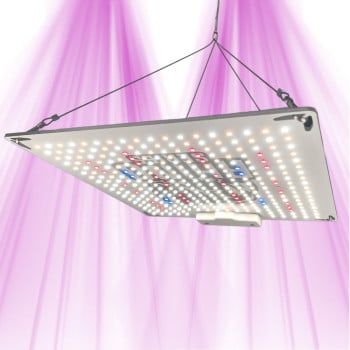 Rhino Series 130 V4 - Panneau horticole LEDs nouvelle génération - CannaLED