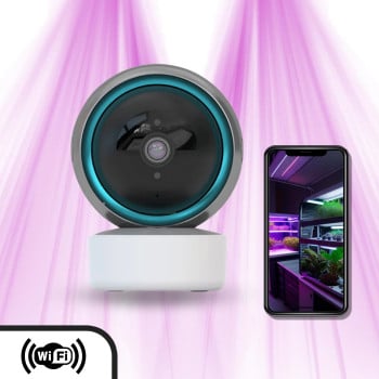 Caméra de surveillance Wifi pour chambre de culture