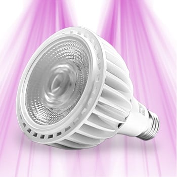 Ampoule horticole LED SpectraBULB X20 - GreenVisuaLED GreenVisuaLED - 1