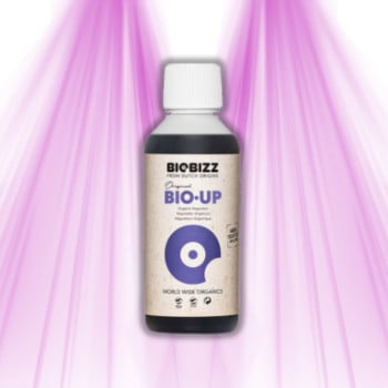 Biobizz Bio·pH+ - Régulateur de pH Organique pour une Croissance Végétale Saine