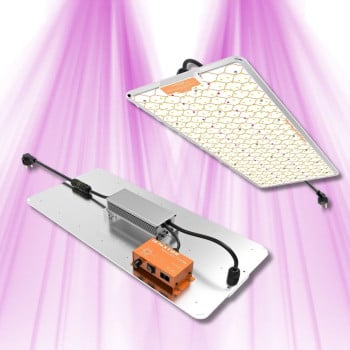 Ignator HeroLED F240W - Éclairage horticole LED