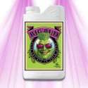 Big Bud - Advanced Nutrients Advanced Nutrients - 1
