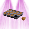 Cubes pour le bouturage EazyPlug - 24 Cubes - 1