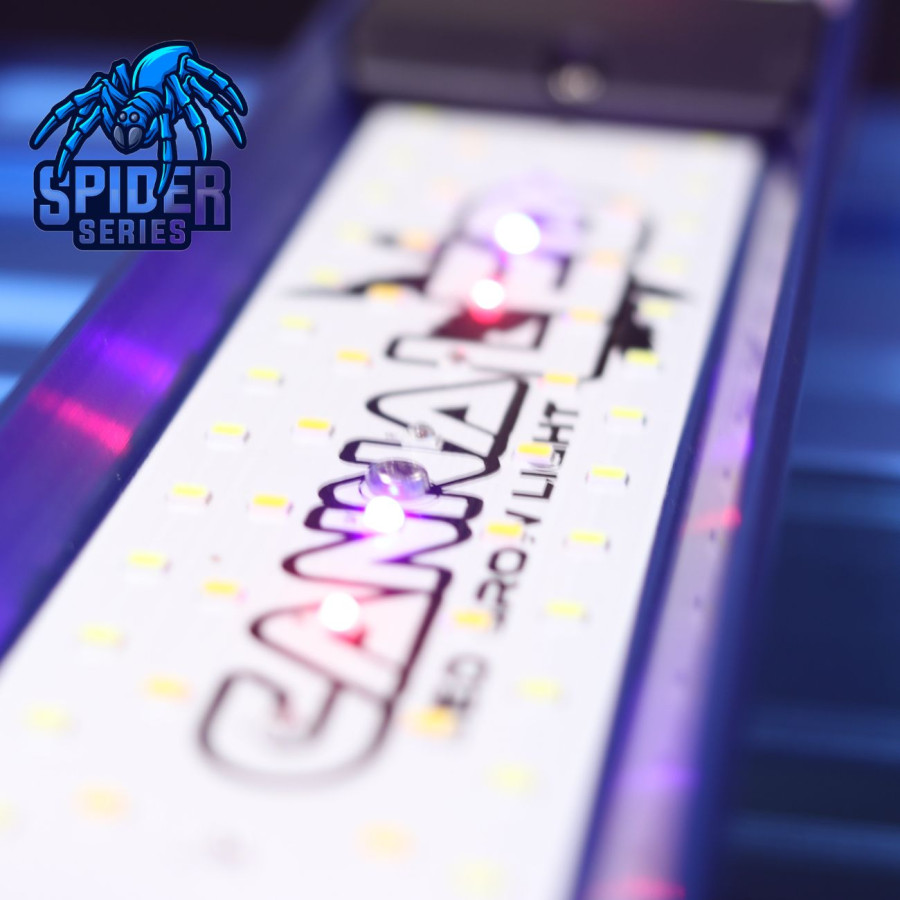 Spider PRO 720W V2 - Éclairage horticole LED nouvelle génération écran LCD - Croissance floraison