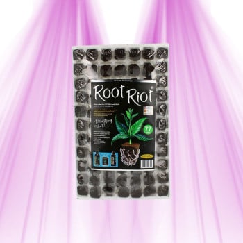 Plateau de Bouturage Root Riot x77 - Croissance Express & Racines Saines