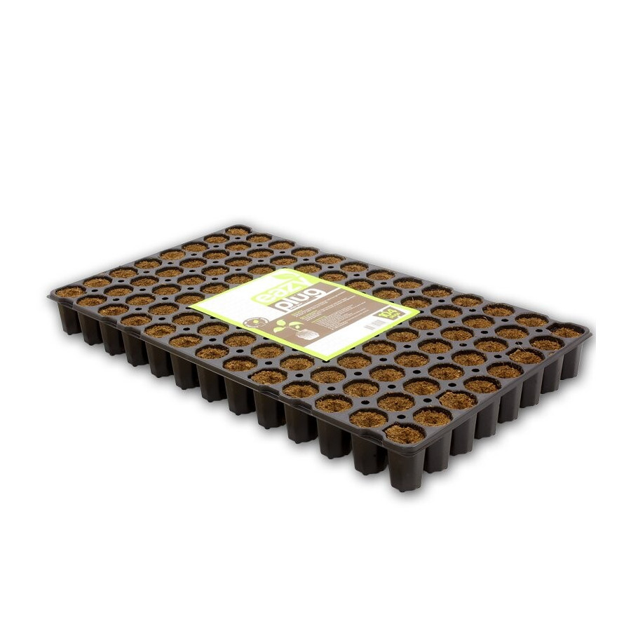 Cube d'enracinement Eazy Plug 3,5 cm - 104 pièces - pour enracinement initial