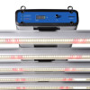 ThinkGrow - Système de culture LED horticole 720W - Model-H plus