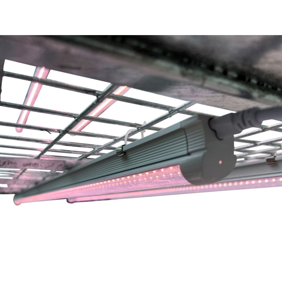 Chariot de propagation complet - LED pour semis et clones - VDL - système professionnel zinc galvanisé