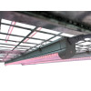 Chariot de propagation complet - LED pour semis et clones - VDL - système professionnel zinc galvanisé