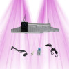 SANlight EVO 4-80 265W - Éclairage LED haute efficacité pour culture indoor