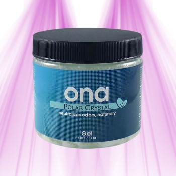 Destructeur d&rsquo;odeur naturel ONA Gel Polar Crystal 400 g