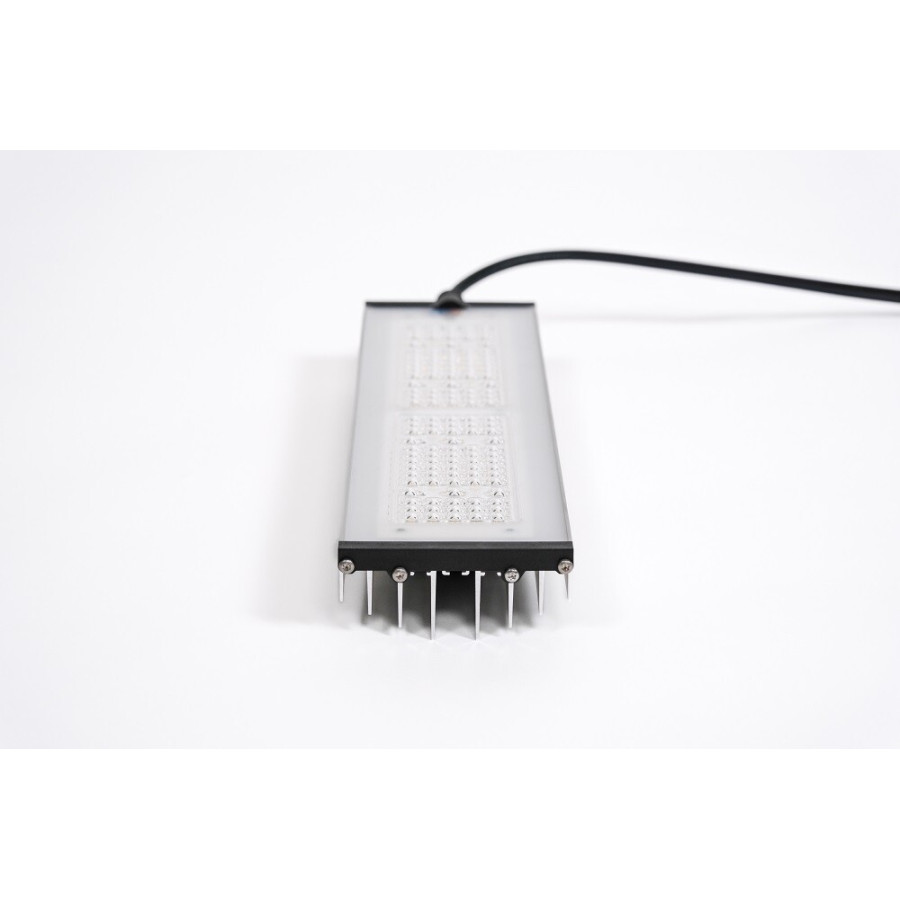 Lampe LED SANlight Stixx 50 50W pour culture indoor, module allumé, dissipateur et connexion cablée noir sur fond blanc.