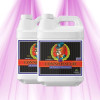 Advanced Nutrients pH Perfect Connoisseur Bloom A & B - pH stable sans effort