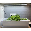 Tube LED Croissance 26W 6600K Aimants + Minuteur — Meliflor