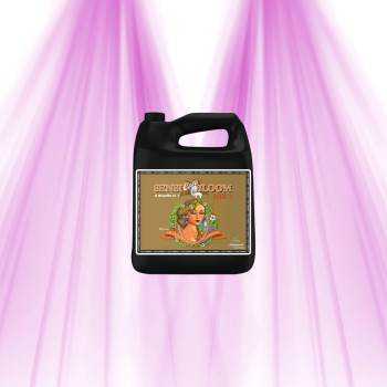 Engrais floraison Sensi Bloom Coco B de Advanced Nutrients, récipent noir with poignée, étiquette couleur illustration florale s