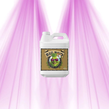 Big Bud Coco - Advanced Nutrients - Stimulateur Floraison