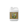 Big Bud Coco - Advanced Nutrients - Stimulateur Floraison