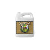 Big Bud Coco - Advanced Nutrients - Stimulateur Floraison