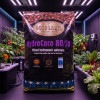 Substrat Hydro Coco RHP 80/20 45 L - Gold Label