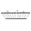 SpectraWILD L1100 PRO - 1100W de puissance pour 240cm x 120cm - L'éclairage horticole XXL