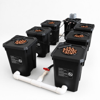 Système Hydroponique RDWC 6 Pots 27L – Recirculation & Oxygénation Racinaire